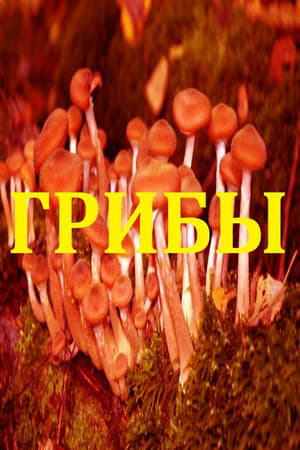 Image Mushrooms