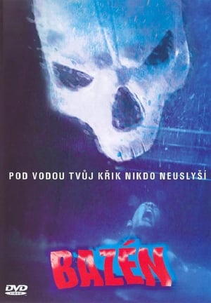 Poster Bazén 2001