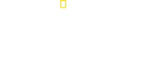 Drenar los océanos — Logos 8