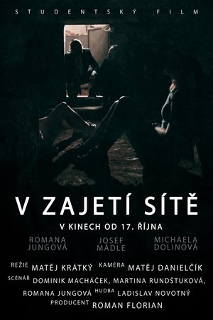 Poster V zajetí sítě (2019)