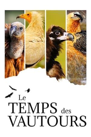 Poster Le Temps des vautours 2022