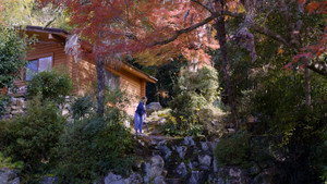 Masayume