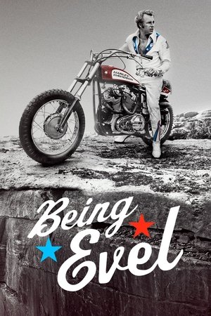 Image Being Evel