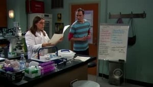 The Big Bang Theory Season 4 Episode 10