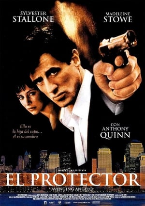 Poster El protector 2002