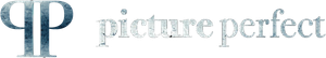 Logo Picture Perfect