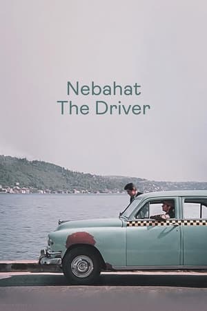 Nebahat The Driver poster