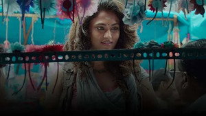 The Grooming of the Hunter | StreamHub