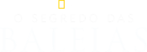 O Segredo das Baleias
