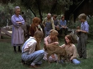 The Waltons The Fawn