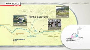 Journeys in Japan: 13×17