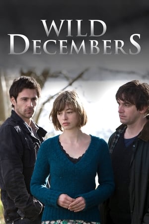 Poster Wild Decembers 2009
