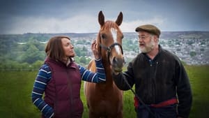 O Cavalo dos Meus Sonhos