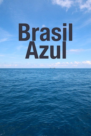 Blue Brazil 11