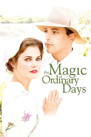 Poster The Magic of Ordinary Days 2005