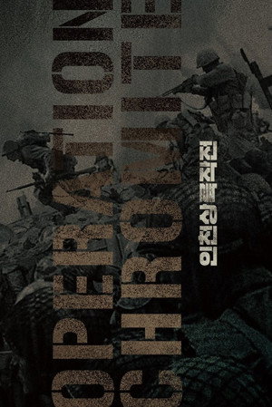 Operation Chromite 44