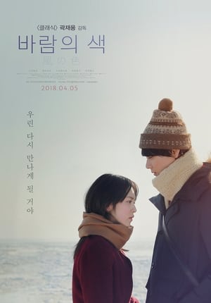 Image 바람의 색