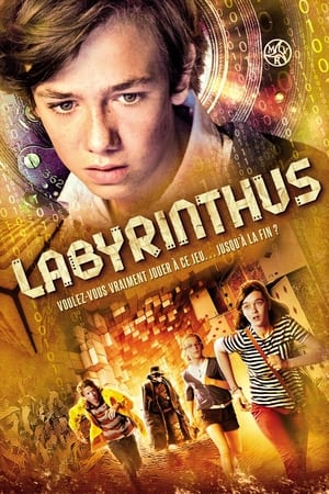 Poster Labyrinthus 2014