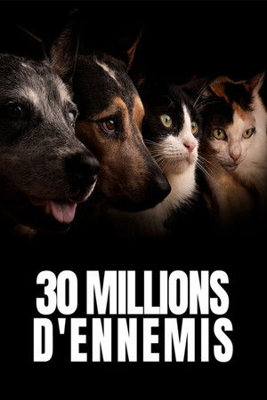 30 millions d'ennemis (2026)