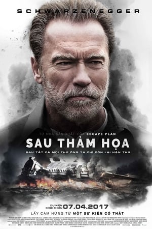 Sau Thảm Họa (2017)