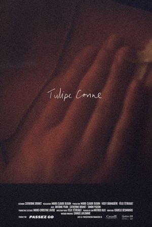 Tulipe conne