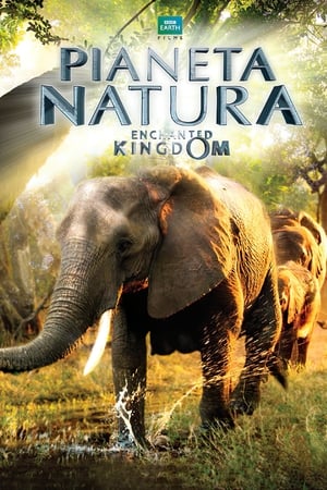 Poster Pianeta Natura - Enchanted Kingdom 2014