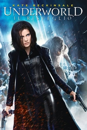 Poster di Underworld - Il risveglio