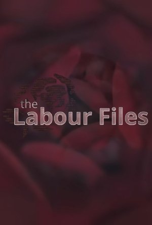 Image The Labour Files