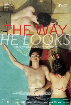 Poster The Way He Looks 2014