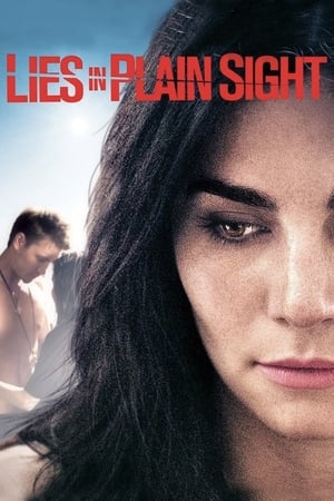 Poster Lies in Plain Sight 2010