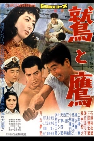 Poster The Eagle and the Hawk 1957