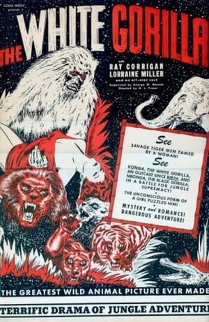 Poster The White Gorilla 1945