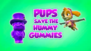 PAW Patrol Pups Save the Hummy Gummies