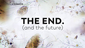 The Future of Microscopy (and end of our Journey) still