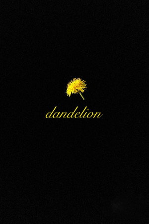 Dandelion 2