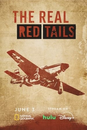 The Real Red Tails