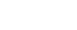 Mosquito