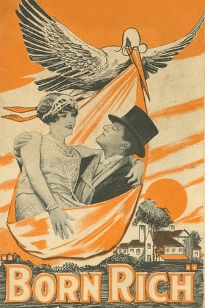 Poster Born Rich (1924)