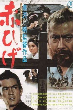 赤ひげ (1965)