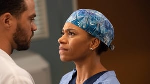 Grey’s Anatomy: Stagione 15 – Episodio 8