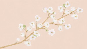 Blossom still 1