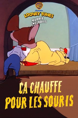 Ca chauffe pour les souris