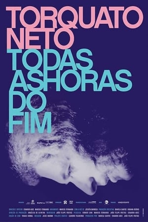 Poster Torquato Neto - Todas as Horas do Fim 2017