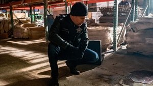 Chicago P.D. Distrito 21: 6×12