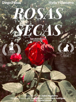 Dried Roses 5