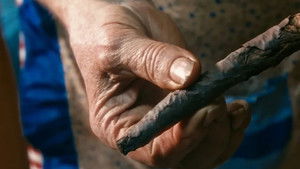 La llei del caliquenyo