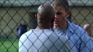 Prison Break: Em Busca da Verdade: 1×13