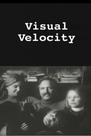 Visual Velocity: The Work of Stan VanDerBeek 2