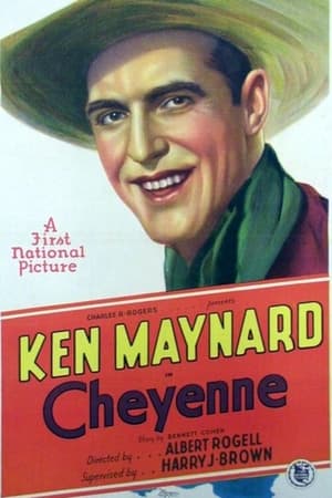 Poster Cheyenne (1929)