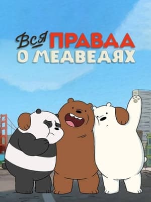 Image Вся правда о медведях